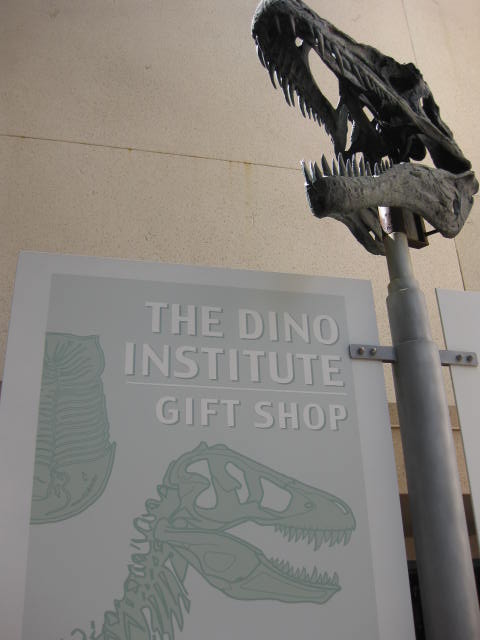 the dino institute